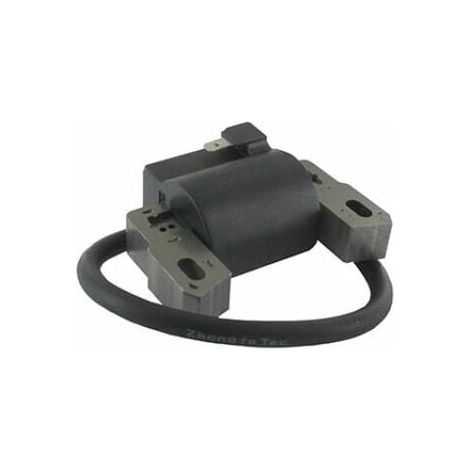 BRIGGS & STRATTON Zündspule 802574 - 492416 - 493237 - 695711 - 796964 (1/5)