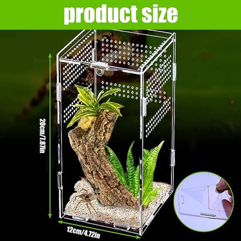 Terrarium en acrylique pour escargots : Nizirioo 12x12x20 cm, boîte d'alimentation pour reptiles, mini terrarium transparent en acrylique, mini terrarium pour araignées, scorpions, mantes (1/3)