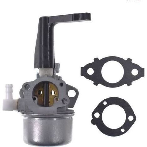 pair 696065 Motoculteur Carb de carburateur de Remplacement avec Joints pour Briggs & Stratton b09048 (1/4)