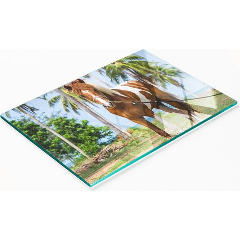 Tabla de cortar y servir decorativa de cristal para cocina, diseño de caballo pinto, 80x52 cm. (1/5)