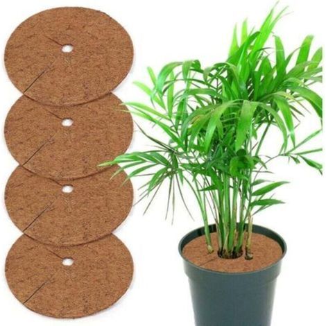5 piezas de tela de fibra de coco de 20 cm para el control de malezas en macetas (1/4)