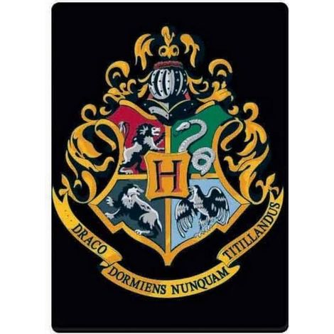 Magnete con lo stemma di Hogwarts di Harry Potter