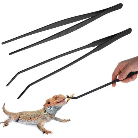 Pince de Nourrissage pour Reptiles en Acier Inoxydable Longue Pince Droite et Courbée pour Lézard Serpent Araignée 2 Pièces (1/5)