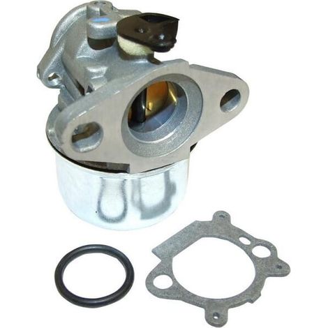 Carburateur BRIGGS & STRATTON FGP456485