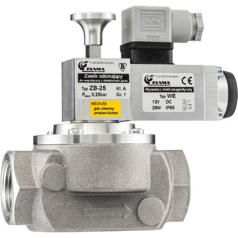Valvola a fungo ZB-25, filettatura da 1", bobina da 12V (1/5)