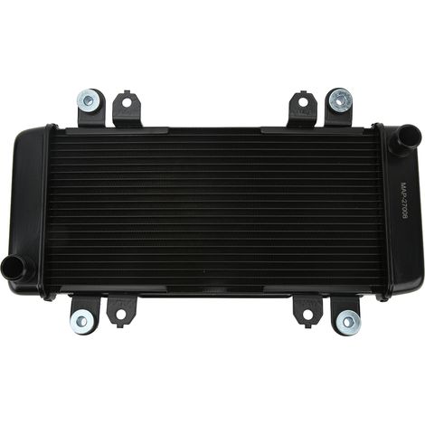 Motorrad-Kühler-Wassertank-Ersatz aus Aluminium für NINJA 300 2013-2018 Schwarz.
