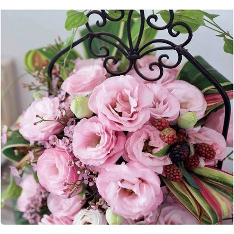 500 graines de lisianthus rose - Variété originale, facile à cultiver, idéal pour jardin, balcon et pots décoratifs (1/5)