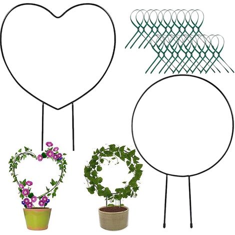 Paquete de 2 estacas para plantas de interior: ayuda para trepar: soporte para plantas en maceta adecuado para uso en interiores y exteriores