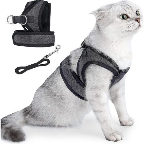 Katzengeschirr und Leine im Set, weiche und verstellbare Ausbruchschutzweste, atmungsaktiv, leicht und einfach zu handhaben für Outdoor-Aktivitäten – Größe L – Schwarz (1/5)