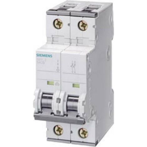 Interruttore Siemens 5sy45107 10 A 10 kA (1/3)