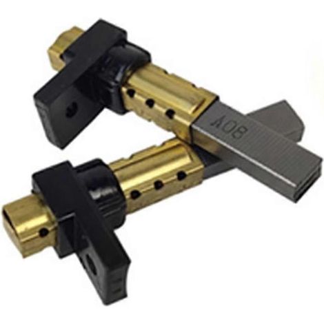 Remplacement des balais de charbon pour moteurs d'aspirateurs WD3/WD2 (1/5)