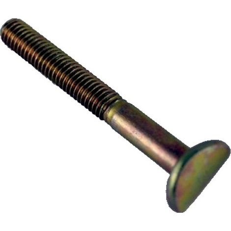Vis de mancheron M6x50mm