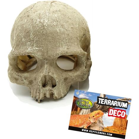 Decorazione per terrario Reptile Nova Skull Primate Skull 11x14cm (1/2)
