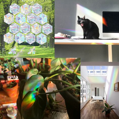 Lot de 16 autocollants vitre anti-collision oiseaux, capteurs de soleil arc-en-ciel, prismes lumineux adhésifs statiques, décor fenêtre : 12 hexagones + 4 abeilles, taille unique. (1/4)