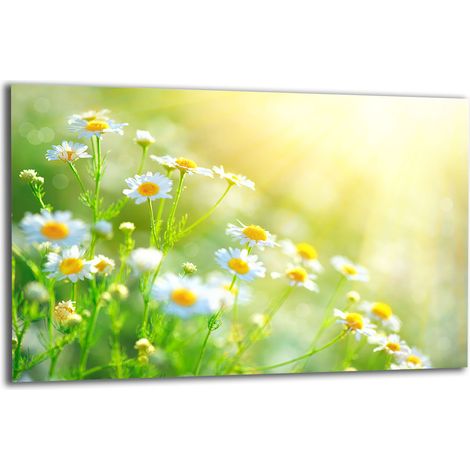 PLAQUE DE PROTECTION EN VERRE POUR CUISINIÈRE 80x52 FLEURS (1/5)