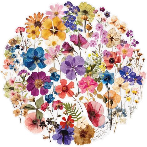 Lot de 50 autocollants botaniques transparents en relief en PET stickers décoratifs pour carnets tablettes coques de téléphone gourdes et autres objets (1/5)