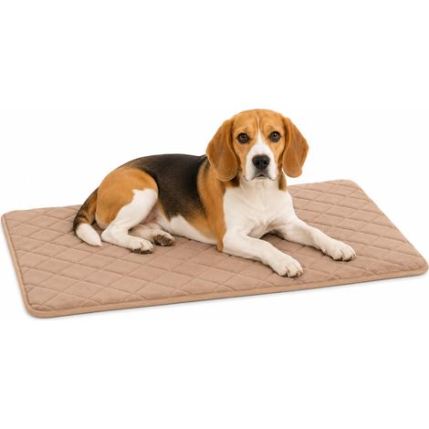 Panier Chien - Coussin Chien et Chat orthopédique Beige - Coussin Confortable pour Cages métalliques - 85,5x51x2cm (1/5)