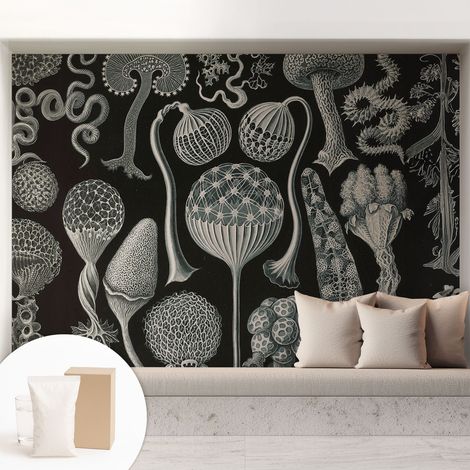 Papier peint intissé pour salon chambre à coucher peint imprimé Installation facile - Colle incluse gratuite Plantes magiques 208x146 cm (1/5)