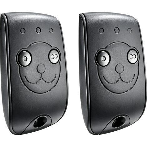 Somfy 1841026 - Télécommande Keytis RTS 2 canaux pour contrôler 2 Moteurs RTS de portails et Portes de Garage (Lot de 2)