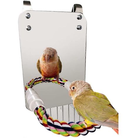 Miroir pour oiseau avec perchoir en corde, jouet à mâcher pour perroquet avec grand miroir, griffes de perroquet, perchoirs pour cage à oiseaux, miroir (1/5)