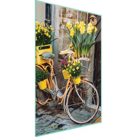 Tagliere in vetro 35x52 Bicicletta (1/5)
