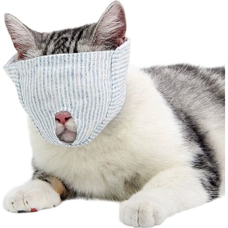 1 bozal para gato, algodón transpirable, protección ocular, nailon ajustable, aseo veterinario (1/5)