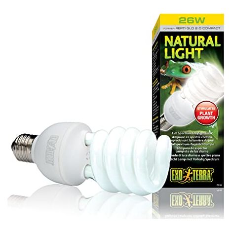 ExoTerra Repti Glo Compact 2.0 25W Attacco E27 - Lampada per terrari a spettro completo (1/4)