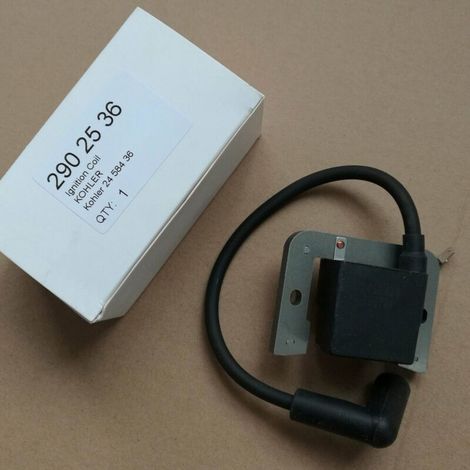 Allumeur compatible avec KOHLER 24 584 36 - S 2458436S 24 584 15 - S 2458411S. (1/4)