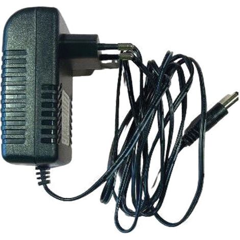 CARICA BATTERIA A 1 VIA 1Ah - 18W