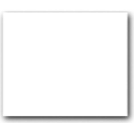 Maxter – Plaque d'immatriculation blanche agricole – Plastique souple – Dimensions 280 x 198 mm – Pour usage en milieu agricole