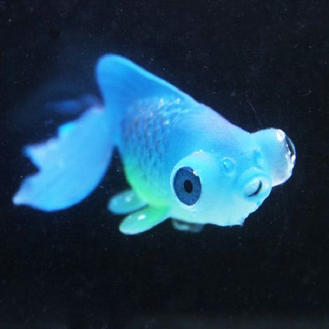 Poaug Poisson Ornement Aquarium - Poisson Artificiel Fluorescent Souple - Décor pour Bassin et Aquarium d'Eau Douce ou Salée - 1 Pièce (1/2)