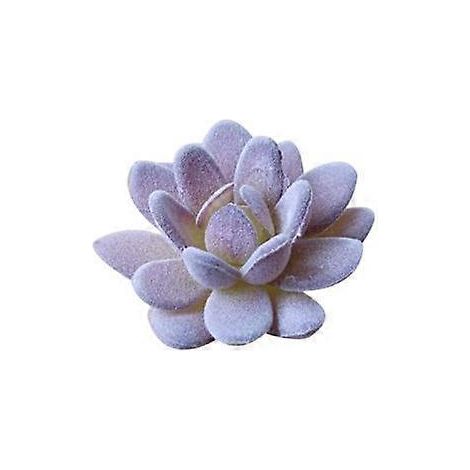 plante succulente artificielle pour décoration de jardin, bureau, maison ou fête (1/5)