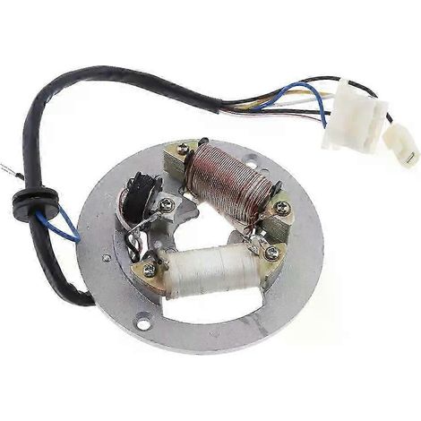 Plaque de stator de bobine d'allumage à 2 bobines pour PW80 PW 80 80 (1/5)