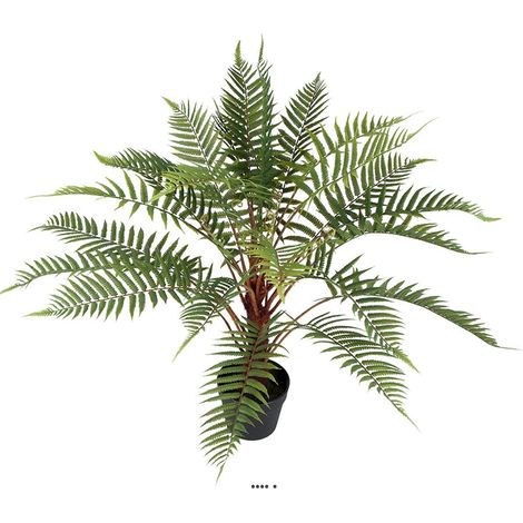 Fougère arborescente des forêts factice H80cm en pot superbe L80cm (1/2)