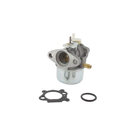 Vergaser 499059 497586 BRIGGS et STRATTON
