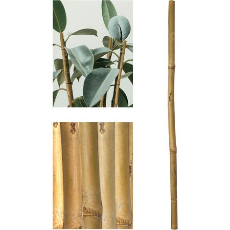 Tutores de Bambú Ecológicos para Jardín - Estaca Natural: 60-210cm, Packs de 12-36 Unidades