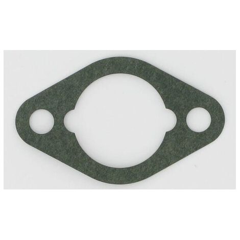 Joint BRIGGS ET STRATTON 710060WM