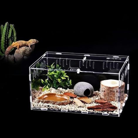 Reptile enclosure - Reptile enclosure - Reptile enclosure - Reptile enclosure - Reptile enclosure (1/5)