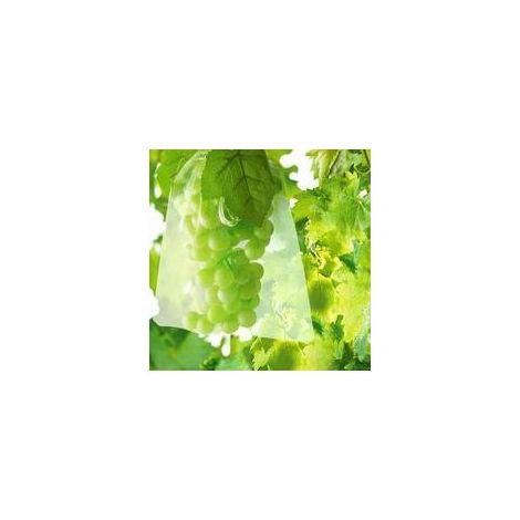 100 Sac Protection Fruits Sacs Filets Protection des Grappes de Raisins Contre Les Oiseaux et Insectes Guêpes Frelons 30 x 20 cm H193 (1/5)