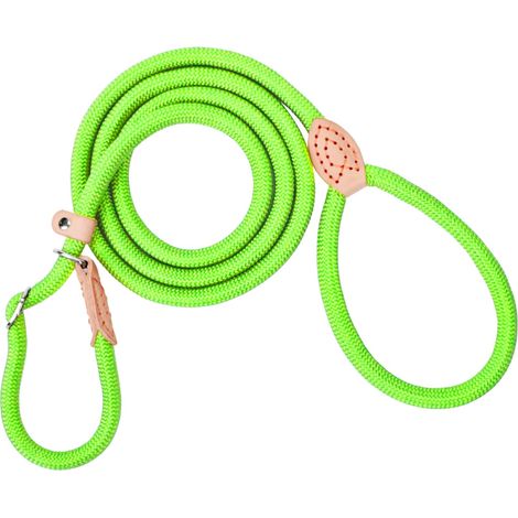Laisse pour chien avec stoppeur de traction, 180 cm, avec collier, résistante aux intempéries, réglable, pour petits et grands chiens, verte (1/5)