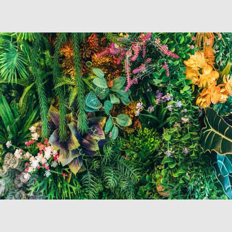 Papier peint intissé - Floraison au coucher du soleil - 375x270 cm (1/4)