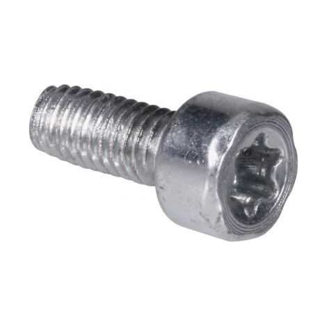 Vis Torx 27 pour Stihl. x10. Type M4 x 10 (1/4)