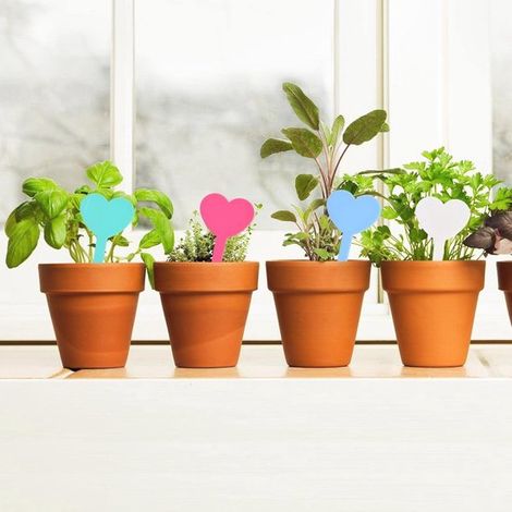 Etiquetas de plástico sostenibles para bandejas de plantas de jardín y semilleros. (1/4)