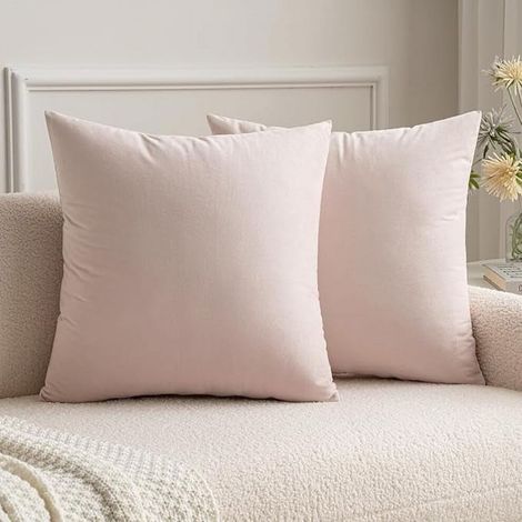 Funda de almohada cuadrada de terciopelo extrasuave Cterwk, funda decorativa para cojín, apta para camas y sofás, 50 x 50 cm, paquete de 2