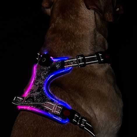 Harnais pour chien lumineux à LED : gilet réglable réfléchissant avec harnais pour animaux de compagnie rechargeable et sans étranglement, poignée de contrôle facile (Camouflage, S) (1/5)