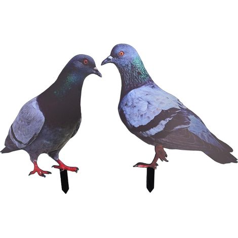 Simulation de pigeon en acrylique - Mini animal amovible - Modèle de faux pigeon mignon - Pour jardin, couloir, salon, chambre à coucher (A et B) (1/5)