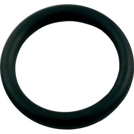 O-ring für schnelle wandmontage - Polaris - 6-505-00