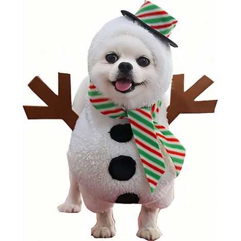 Costume de Noël pour animal de compagnie (1/5)