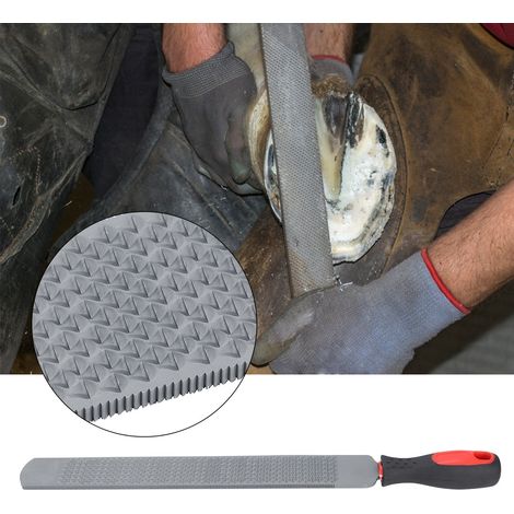 Lime de maréchal-ferrant double face pour le parage des sabots, outil de ferrage et accessoires d'équitation (1/5)