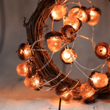 Guirlande lumineuse d'automne - 2 m - 20 LED - Guirlande lumineuse d'extérieur - Batterie - Gland d'automne - Lumière décorative pour Noël, mariage, fête d'anniversaire (1/5)